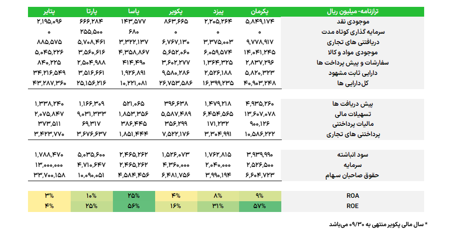 ترازنامه مالی ساپا